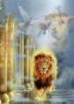 /album/jezus/lion-of-judah-greeting-card-for-sale-by-ricardo-colon-jpg2/